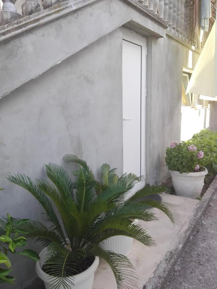 Marko Apartment Sutomore Exterior foto